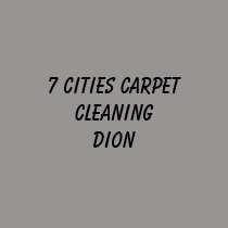 7 CITIES CARPET CLEANING DION t-shirts