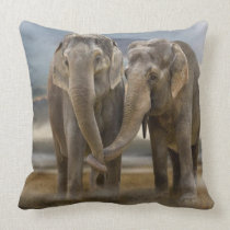 #7-elephants-bonding pillow