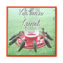 7 Hummingbirds- customize magnets