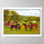 7c  Duke of Westminster's Mares and Foal posters