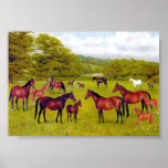 7d   Duke of Westminster's Mares and Foal posters
