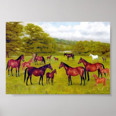 7d   Duke of Westminster's Mares and Foal Print by VintagePets