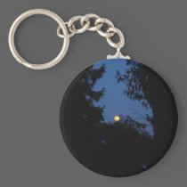 7th February 2012 - Full Moon - Ice Moon keychains