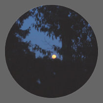 7th February 2012 - Full Moon - Ice Moon stickers