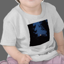7th February 2012 - Full Moon - Ice Moon t-shirts