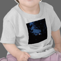 7th February 2012 - Full Moon - Ice Moon t-shirts