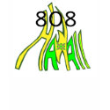 808 Hawaii shirt by marcya7 808 Hawaii shirt