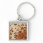 80 Proportion illiterates Negro voters Key Chain