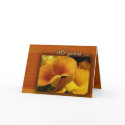 80 years and counting cards by perfectpostage 80 years and counting cards