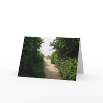 81st Street Access, Virginia Beach VA, 2003 cards