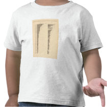 84 Proportion illiterates, foreign white by state Tees