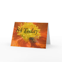 84th Birthday Greeting Cards