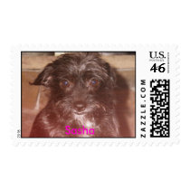 853605-R1-12-13A_013, Sasha Postage