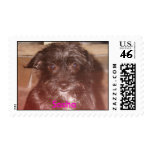 853605-R1-12-13A_013, Sasha postage