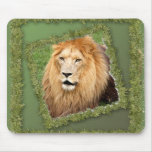 85-african-lion-st-patricks-0084 mousepad