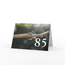 85th Birthday cards