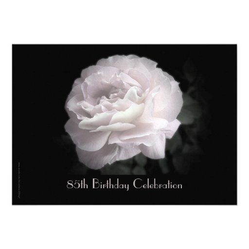 85th Birthday Celebration Invitation Pink Rose