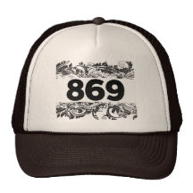 869 TRUCKER HAT