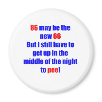 86 new 66 refrigerator magnet