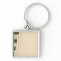 86 Proportion foreign parentage Key Chain
