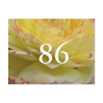 86th Birthday Postcards