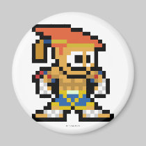 8-Bit Adon magnets