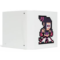 8-Bit Juri Vinyl Binders