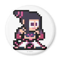 8-Bit Juri Magnets