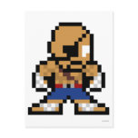 8-Bit Sagat Post Cards