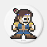 8-Bit T. Hawk Fridge Magnets