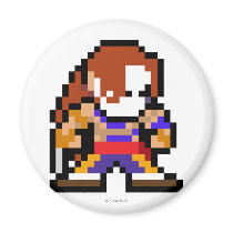 8-Bit Vega Magnet
