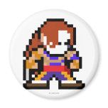 8-Bit Vega magnets