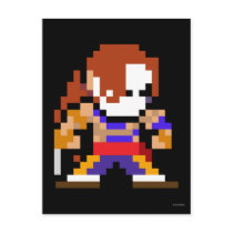 8-Bit Vega Post Cards