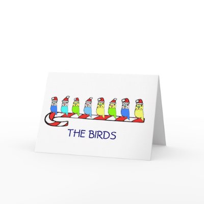 8 Budgies Card by nature_art