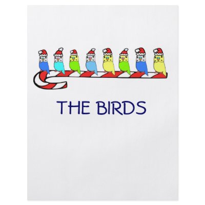 8 Budgies Flyer Design by nature_art
