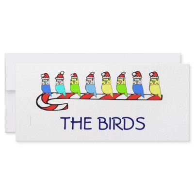 8 Budgies Rack Cards by nature_art