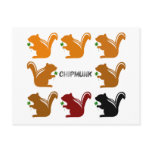 8 chipmunks (Brown) Post Cards