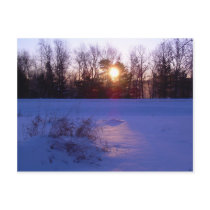 8 January 2010 postcards by NiftyMorning 8 January 2010 postcards