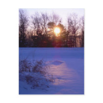 8 January 2010 postcards by NiftyMorning 8 January 2010 postcards