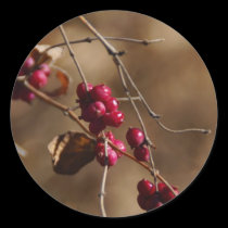 8-mile creek berries stickers