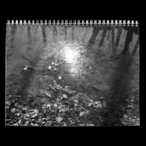 8-mile creek calendar calendars