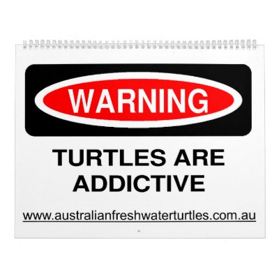 8 Month Australian Freshwater Turtle Calendar by expansa1