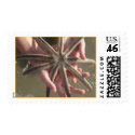 8 Point StarFish postage by TRIPINTRISH 8 Point StarFish postage