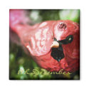 8th December • Red Cardinal • Magnet