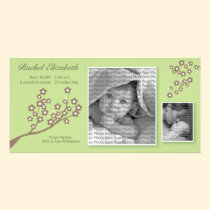 8x4 Branch Design Birth Announcement Green/Brown photo cards