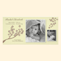 8x4 Branch Design Birth Announcement Khaki/Brown photo cards