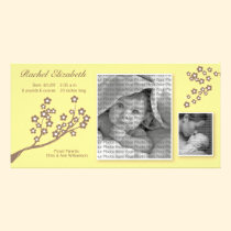 8x4 Branch Design Birth Announcement Yellow/Brown photo cards