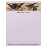 $.90 Meeting Birds Business Letterhead Letter Work