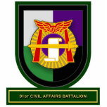 91st Civil Affairs Battalion flash Cut Outs