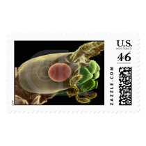 92295.jpg postage by ronhicks41 92295.jpg postage